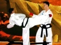 Juego Tae Kwon-Do Competition