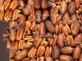 Juego Pecan Mosaic Jigsaw