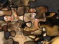 Juego Puzzle of the American toad