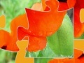 Juego Oriental Poppy Jigsaw