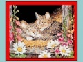 Juego Art Kittens Jigsaw 2