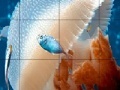 Juego Mosaic jellyfish slide puzzle