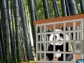 Juego Wow escape: The tiny panda