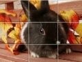 Juego Puzzles Grey Rabbits