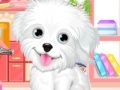 Juego Fluffy puppy pet: Spa and care