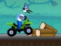 Juego Regular Show Amazing Race