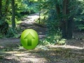 Juego Puzzle forest escape