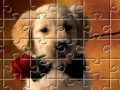 Juego Puzzles Little Puppy