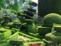 Juego Hidden Target-Garden