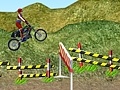 Juego Motorcycle Rally