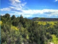 Juego Theodore Roosevelt national park jigsaw