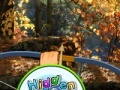 Juego Hidden Autumn Butterfly