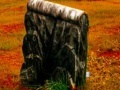 Juego Fall graveyard escape