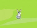 Juego Rabbit Trap