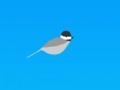 Juego Trampoline chickadee