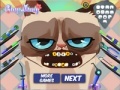 Juego Grumpy cat. Dental care