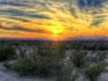 Juego Big Bend Desert Jigsaw