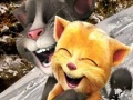 Juego Talking Tom and Ginger Sledging