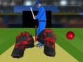 Juego Cricket tap catch