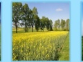 Juego Spring Jigsaw 2