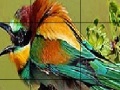 Juego Two Amazing Bird Puzzle