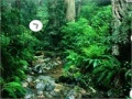 Juego Escape from Amazon Forest
