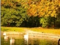Juego Jigsaw: Autumn Pond