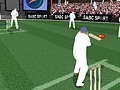 Juego Cricket