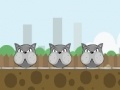 Juego Crazy cat