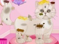 Juego Persian cat princess spa salon