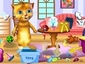 Juego Ginger: Cleaning House