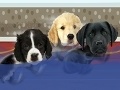 Juego International Puppy Game