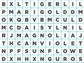 Juego Word Search