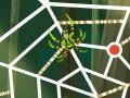 Juego Wild Kratts: Web-Tastic!