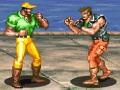 Juego Hardest Fighter 2