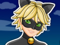 Juego Miraculous Ladybug Cat Noir