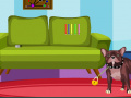 Juego Dexter Dog Escape