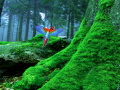 Juego Birds Forest Escape