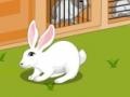 Juego Rabbit Escape From Eagle  