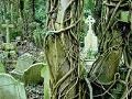 Juego Highgate Cemetery Escape