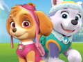 Juego Paw Patrol Othello 