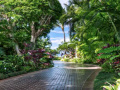 Juego Escape from Tropical Estate