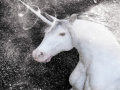 Juego White Unicorn Hidden Stars