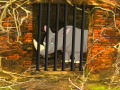 Juego Rhino Escape