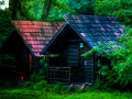 Juego Gir Forest Escape