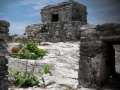 Juego Mystery of Mayan Stone Escape