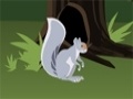 Juego Squirrel