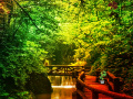 Juego Chinese Garden House Escape