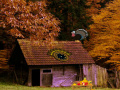Juego Mysterious Turkey Forest Escape 