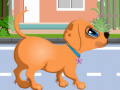 Juego Dog Health Care